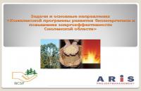 Задачи и основные направления «Комплексной программы развития биоэнергетики и повышения энергоэффективности Смоленской области» 