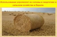 Использование агропеллет из соломы в энергетике и сельском хозяйстве в Европе 